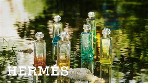 hermes jardin fragrantica|hermes perfume jardin review.